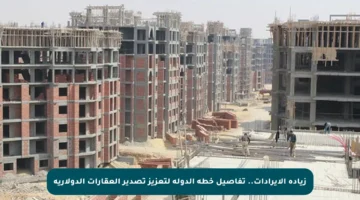 زيادة الإيرادات.. تفاصيل خطة الدولة لتعزيز تصدير العقارات الدولارية